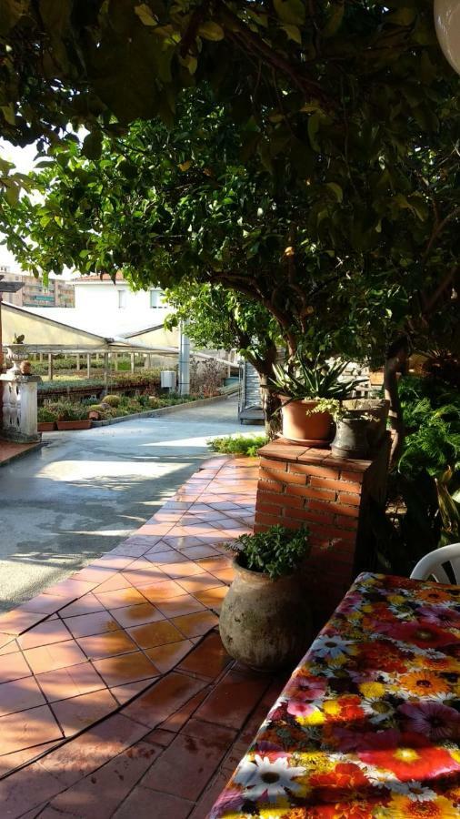 Ca' Federica Villa Vallecrosia Bagian luar foto