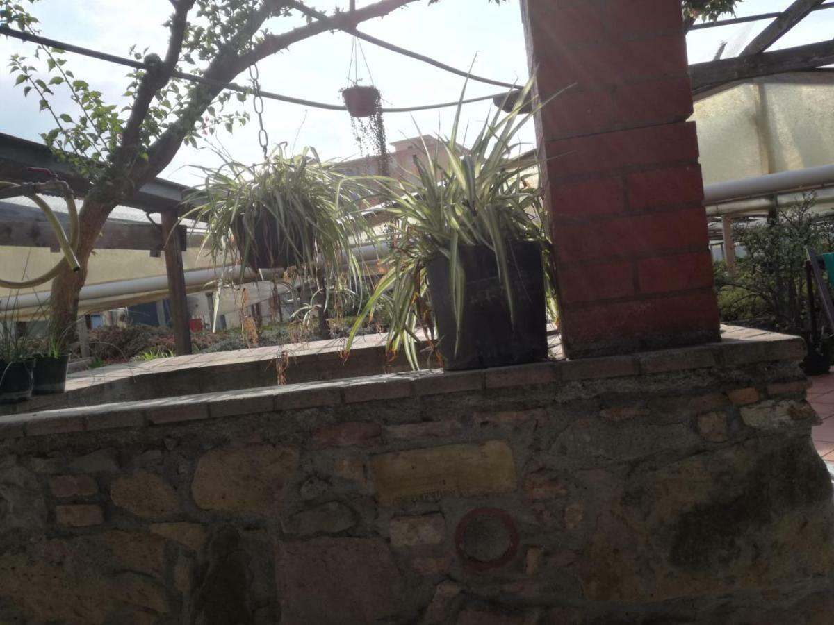 Ca' Federica Villa Vallecrosia Bagian luar foto
