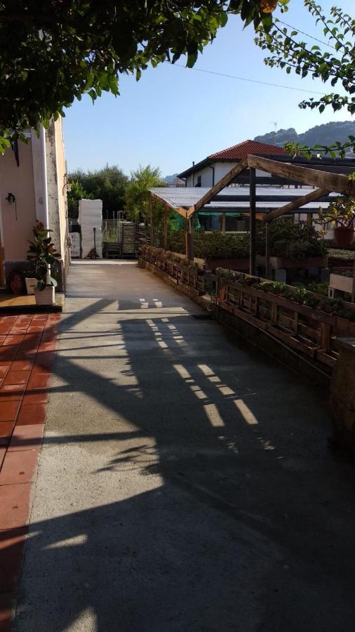 Ca' Federica Villa Vallecrosia Bagian luar foto